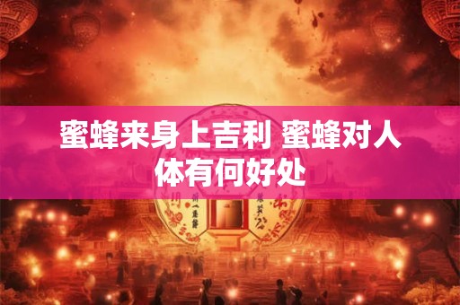蜜蜂来身上吉利 蜜蜂对人体有何好处