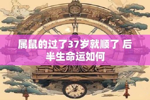 属鼠的过了37岁就顺了 后半生命运如何
