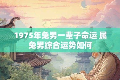 1975年兔男一辈子命运 属兔男综合运势如何