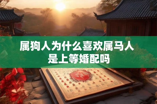 详细阅读:属狗人为什么喜欢属马人 是上等婚配吗 属狗人为什么喜欢属马人 是上等婚配吗