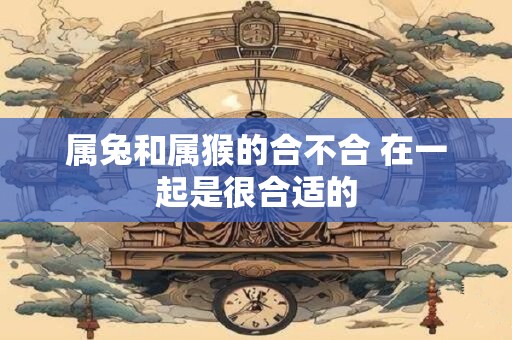 属兔和属猴的合不合 在一起是很合适的