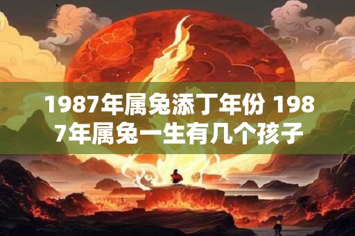 1987年属兔添丁年份 1987年属兔一生有几个孩子 1987年属兔添丁年份 1987年属兔一生有几个孩子