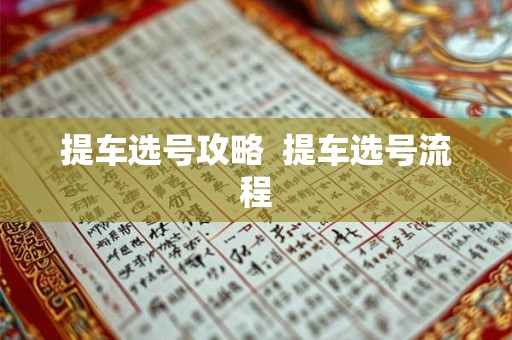 提车选号攻略  提车选号流程