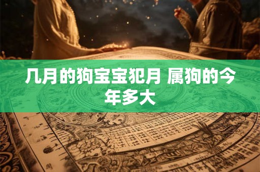 几月的狗宝宝犯月 属狗的今年多大