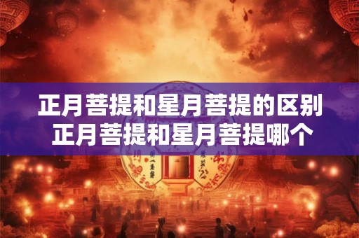 正月菩提和星月菩提的区别 正月菩提和星月菩提哪个好