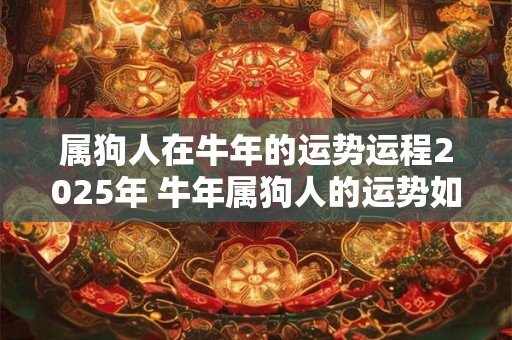 属狗人在牛年的运势运程2025年 牛年属狗人的运势如何