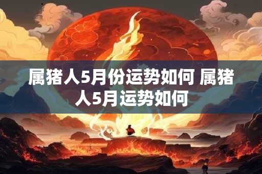 属猪人5月份运势如何 属猪人5月运势如何
