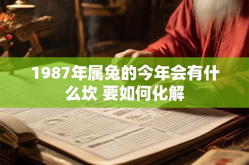 详细阅读:1987年属兔的今年会有什么坎 要如何化解 1987年属兔的今年会有什么坎 要如何化解