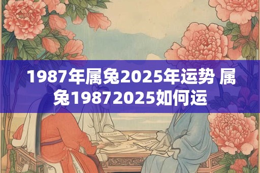 1987年属兔2025年运势 属兔19872025如何运