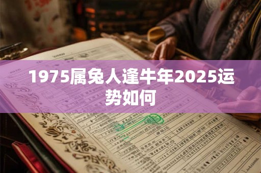 1975属兔人逢牛年2025运势如何