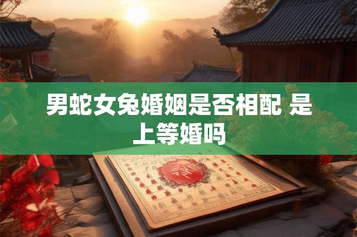 男蛇女兔婚姻是否相配 是上等婚吗