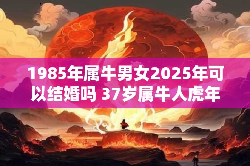 1985年属牛男女2025年可以结婚吗 37岁属牛人虎年结婚要注意什么