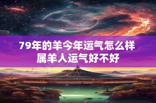 79年的羊今年运气怎么样 属羊人运气好不好