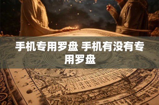 手机专用罗盘 手机有没有专用罗盘