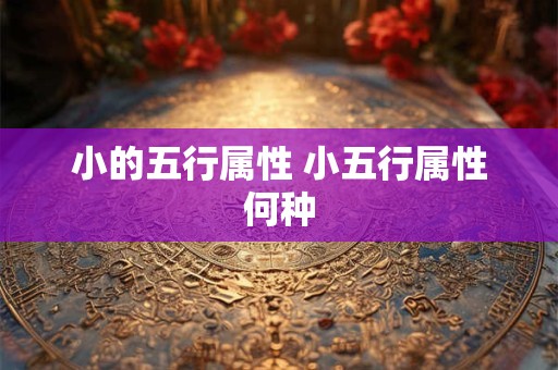 小的五行属性 小五行属性何种