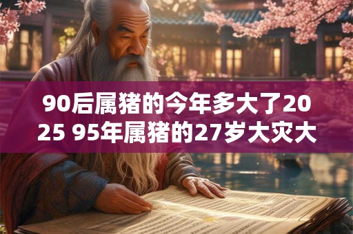 90后属猪的今年多大了2026 95年属猪的27岁大灾大难