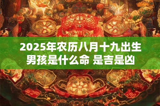 2025年农历八月十九出生男孩是什么命 是吉是凶 2025年农历八月十九出生男孩是什么命 是吉是凶