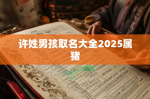 许姓男孩取名大全2025属猪