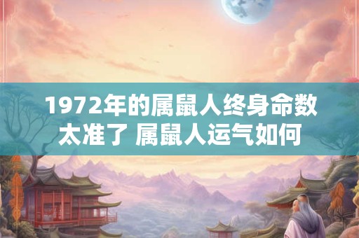 1972年的属鼠人终身命数太准了 属鼠人运气如何
