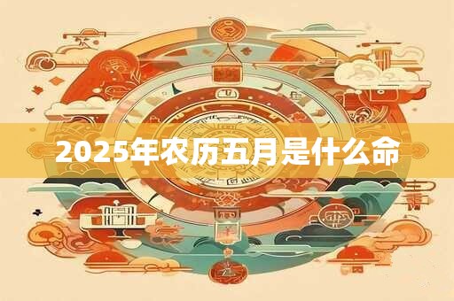 2025年农历五月是什么命