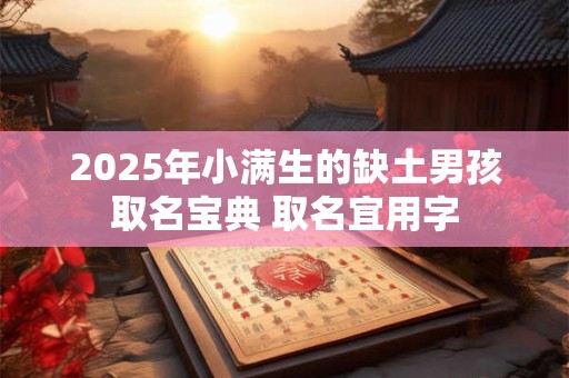 2025年小满生的缺土男孩取名宝典 取名宜用字