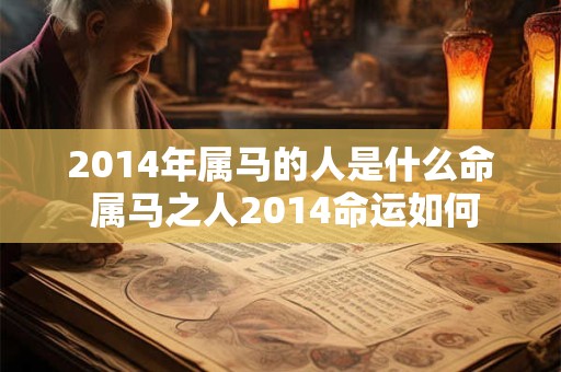 2014年属马的人是什么命 属马之人2014命运如何
