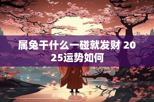 属兔干什么一碰就发财 2025运势如何