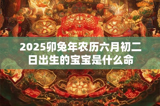 2025卯兔年农历六月初二日出生的宝宝是什么命