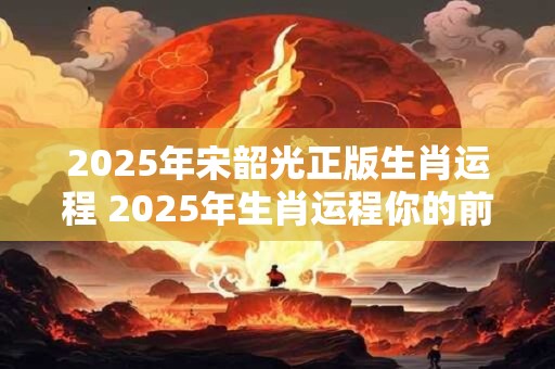 2025年宋韶光正版生肖运程 2025年生肖运程你的前途值得期待吗