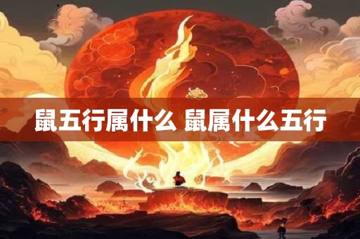 鼠五行属什么 鼠属什么五行 鼠五行属什么 鼠属什么五行