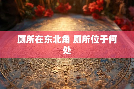 厕所在东北角 厕所位于何处