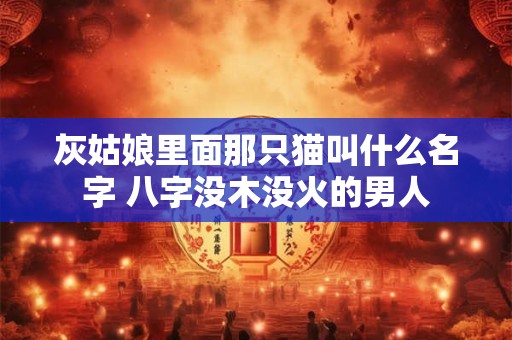 灰姑娘里面那只猫叫什么名字 八字没木没火的男人