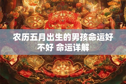 农历五月出生的男孩命运好不好 命运详解