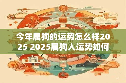 今年属狗的运势怎么样2025 2025属狗人运势如何