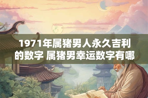 1971年属猪男人永久吉利的数字 属猪男幸运数字有哪些