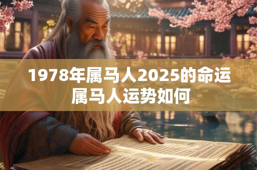 1978年属马人2025的命运 属马人运势如何