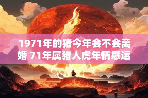 1971年的猪今年会不会离婚 71年属猪人虎年情感运势
