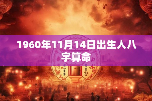 1960年11月14日出生人八字算命