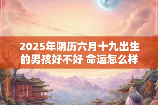 2025年阴历六月十九出生的男孩好不好 命运怎么样