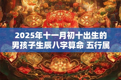 2025年十一月初十出生的男孩子生辰八字算命 五行属性