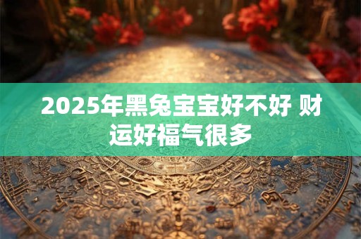 2025年黑兔宝宝好不好 财运好福气很多