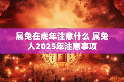 属兔在虎年注意什么 属兔人2025年注意事项