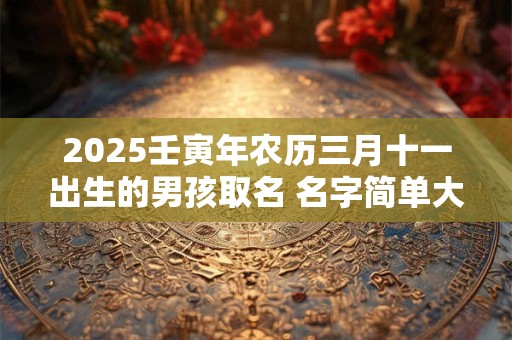 2025壬寅年农历三月十一出生的男孩取名 名字简单大气