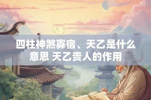 四柱神煞寡宿、天乙是什么意思 天乙贵人的作用
