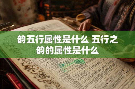 韵五行属性是什么 五行之韵的属性是什么