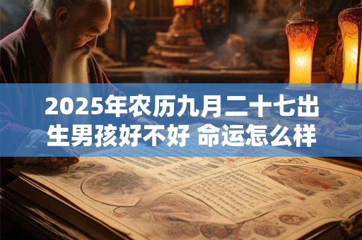 2025年农历九月二十七出生男孩好不好 命运怎么样