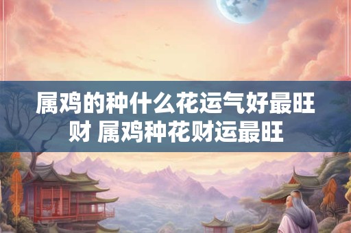 属鸡的种什么花运气好最旺财 属鸡种花财运最旺 属鸡的种什么花运气好最旺财 属鸡种花财运最旺