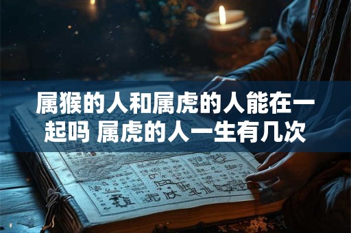 属猴的人和属虎的人能在一起吗 属虎的人一生有几次婚姻 属猴的人和属虎的人能在一起吗 属虎的人一生有几次婚姻