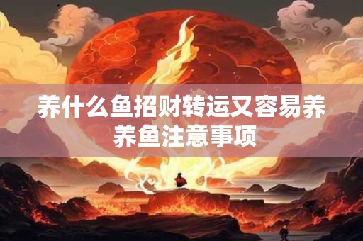 养什么鱼招财转运又容易养 养鱼注意事项