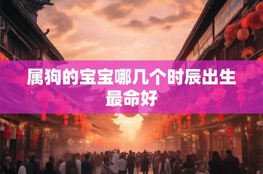 属狗的宝宝哪几个时辰出生最命好